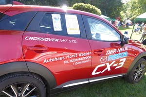 8.EDEKA-Meierjohann-Cup